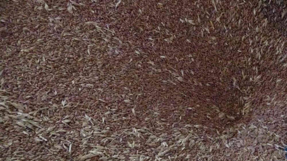 Baba yadigarı değirmencilik mesleğini oğluyla sürdürüyor