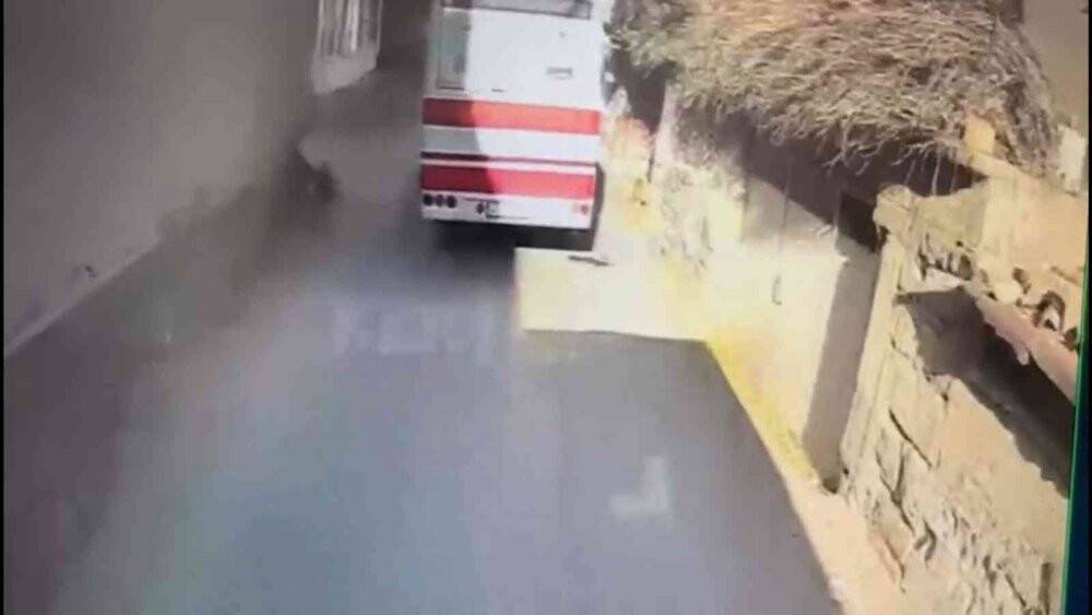 Köpeğe çarpıp ölüme terk ettiği anlar saniye saniye görüntülendi