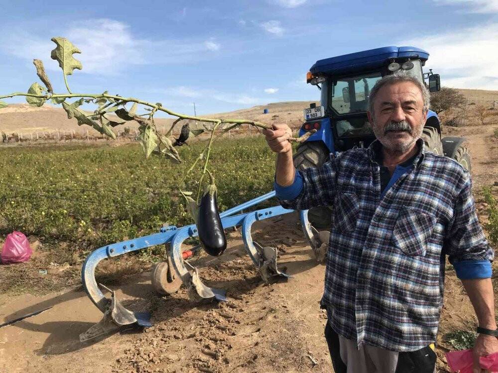 Marketlerdeki fiyata kızdı, 20 dönümlük sebze tarlasını vatandaşlara ücretsiz açtı