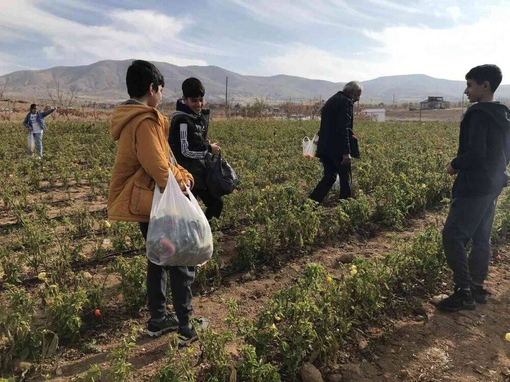 Marketlerdeki fiyata kızdı, 20 dönümlük sebze tarlasını vatandaşlara ücretsiz açtı
