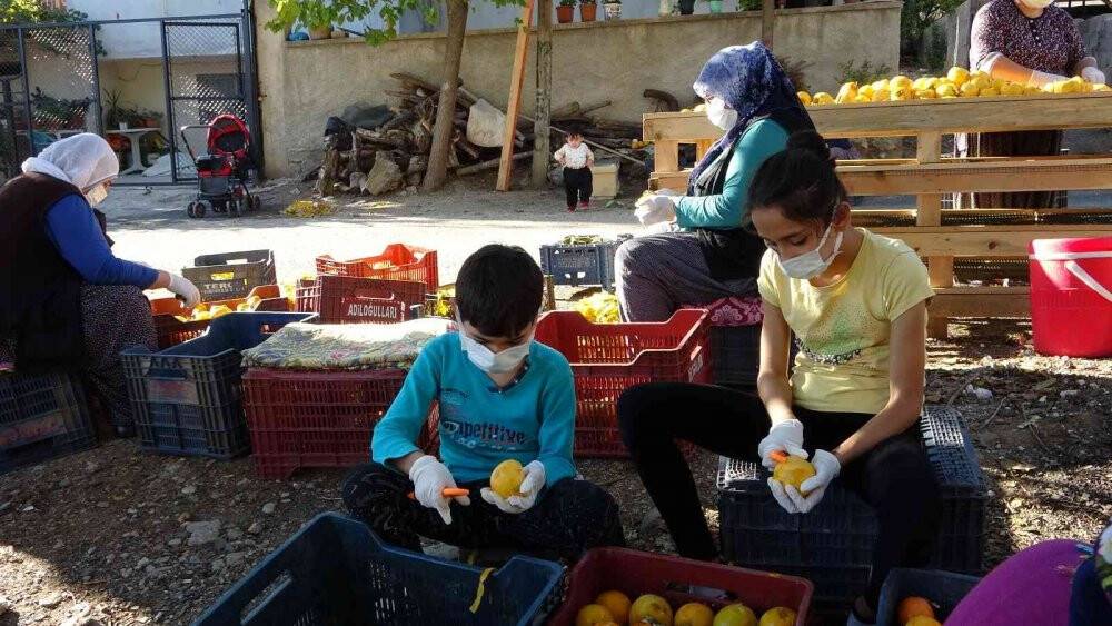 Şiddet haberlerinden etkilendi, kadınları üretime geçirdi