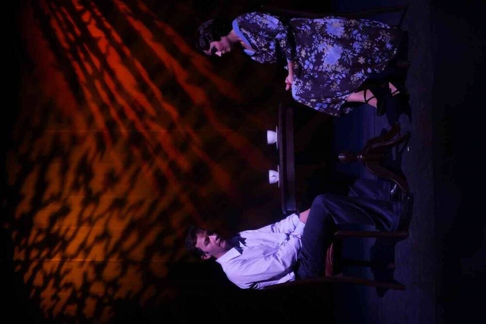 Devlet Tiyatrolarının perdeleri 24 Kasım’da öğretmenlere ücretsiz açılacak