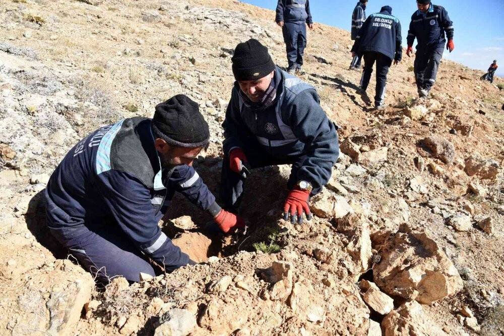 Selçuklu’da doğaya 17 bin yeni fidan kazandırıldı