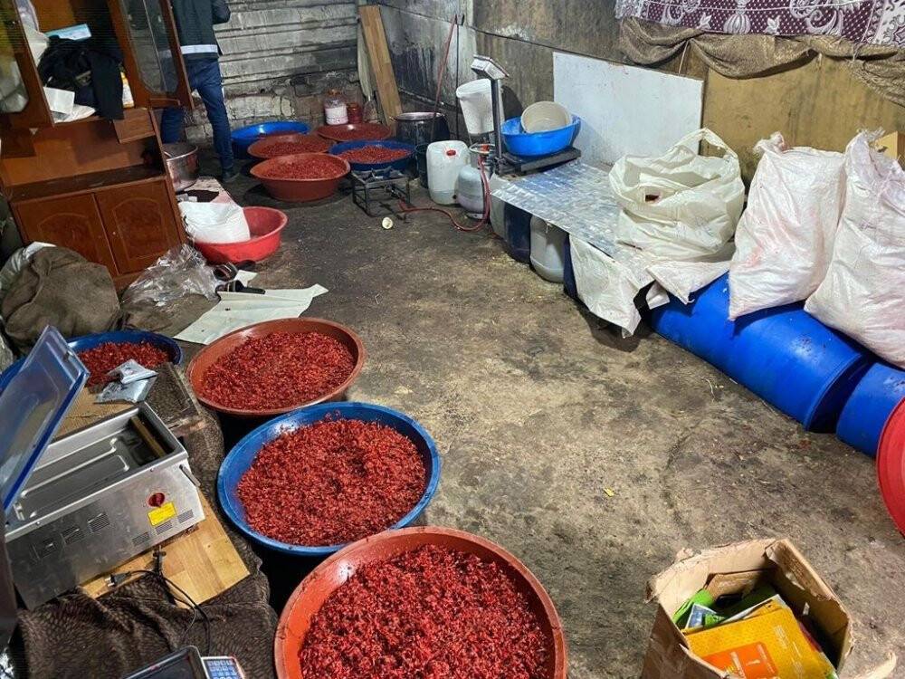 İstanbul merkezli 13 ilde kaçak nargile tütünü operasyonu
