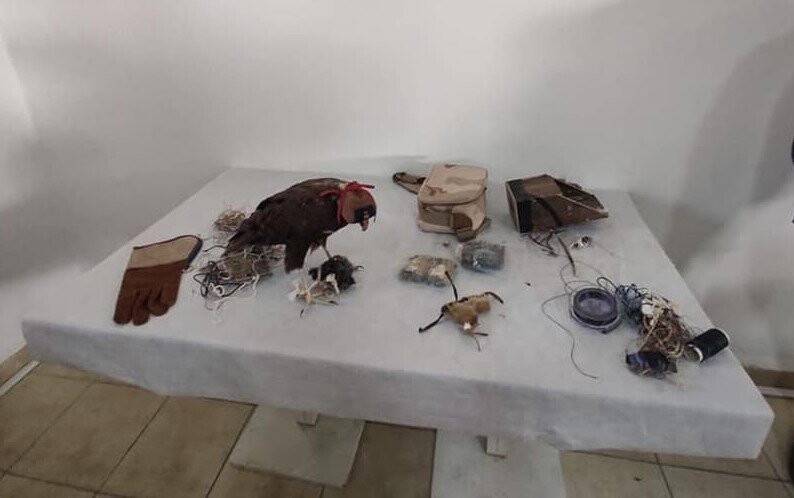 Konya’da canlı mühre ile yasak avlanmaya 28 bin 500 lira ceza