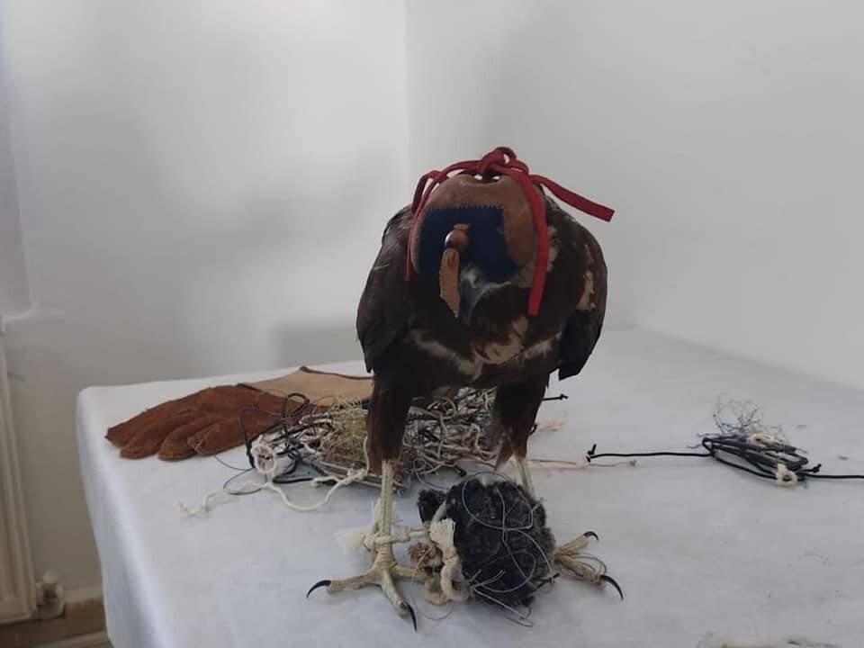 Konya’da canlı mühre ile yasak avlanmaya 28 bin 500 lira ceza