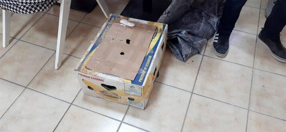 Konya’da canlı mühre ile yasak avlanmaya 28 bin 500 lira ceza