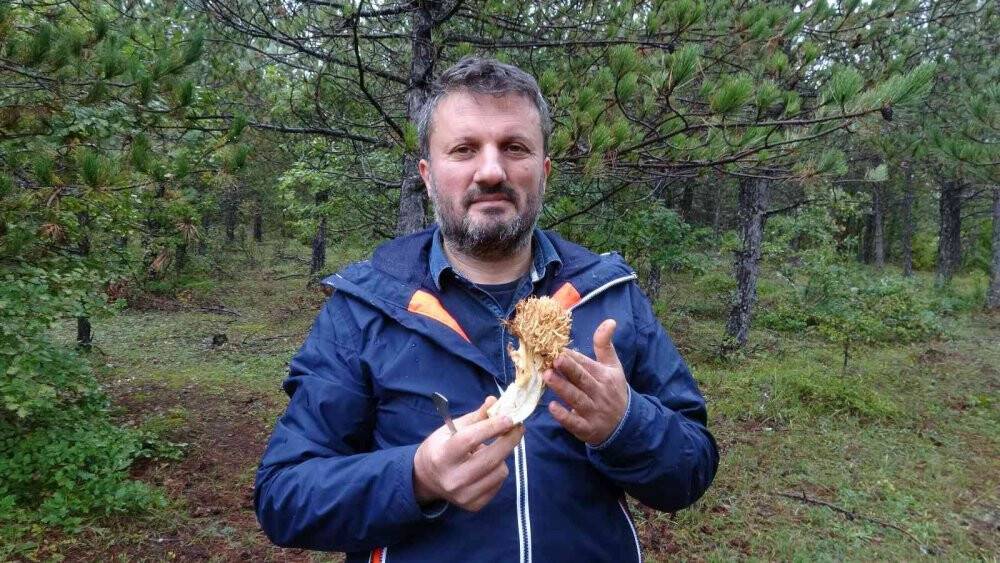 Uzmanından uyarı: Yanlış bilgiler mantar zehirlenmesine sebep oluyor
