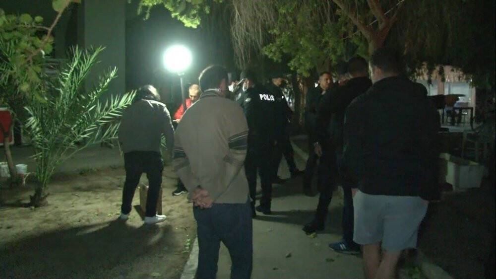 Beslediği kedileri hareketsiz gören kadın hıçkıra hıçkıra ağladı