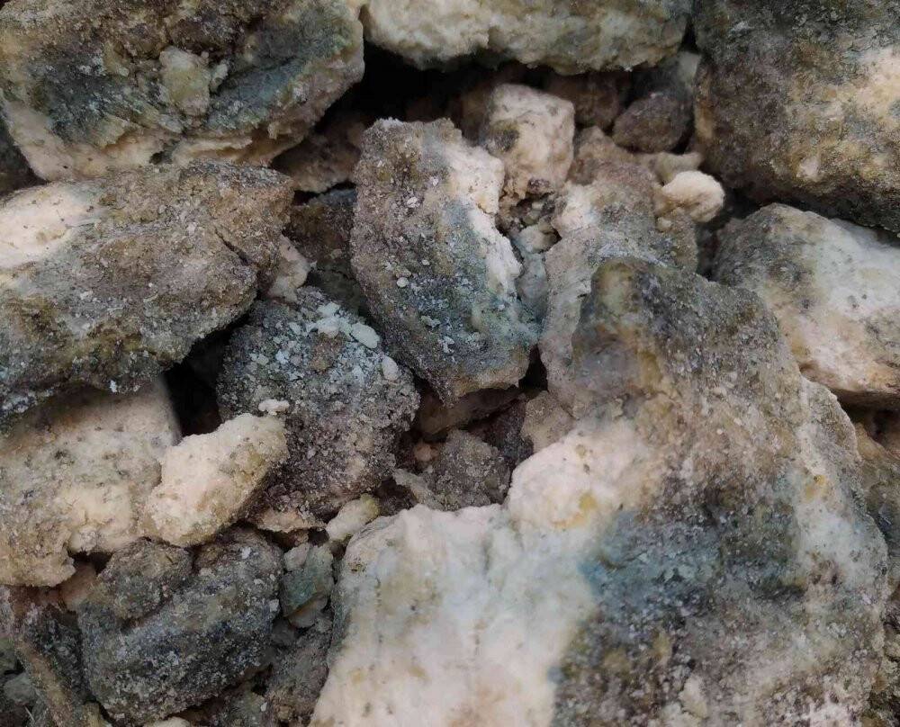 İşte Muhteşem Süleyman’ın ordusuna yedirdiği penisilin gibi peynir