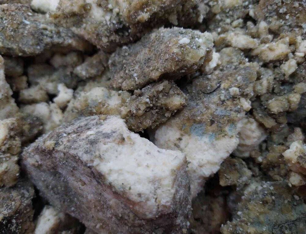 İşte Muhteşem Süleyman’ın ordusuna yedirdiği penisilin gibi peynir