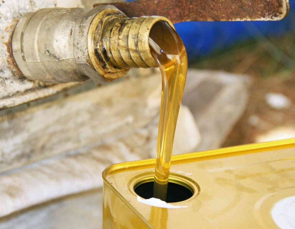 Türk çam balı TSE standartına kavuştu