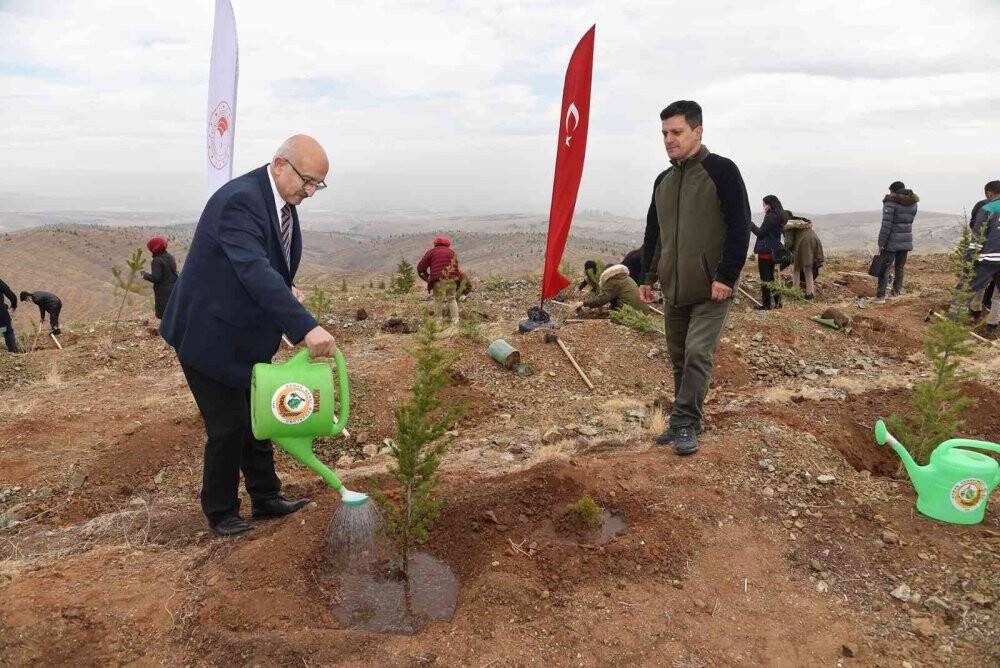 Öğretmenler hatıra ormanına  fidan dikimi gerçekleştirdi