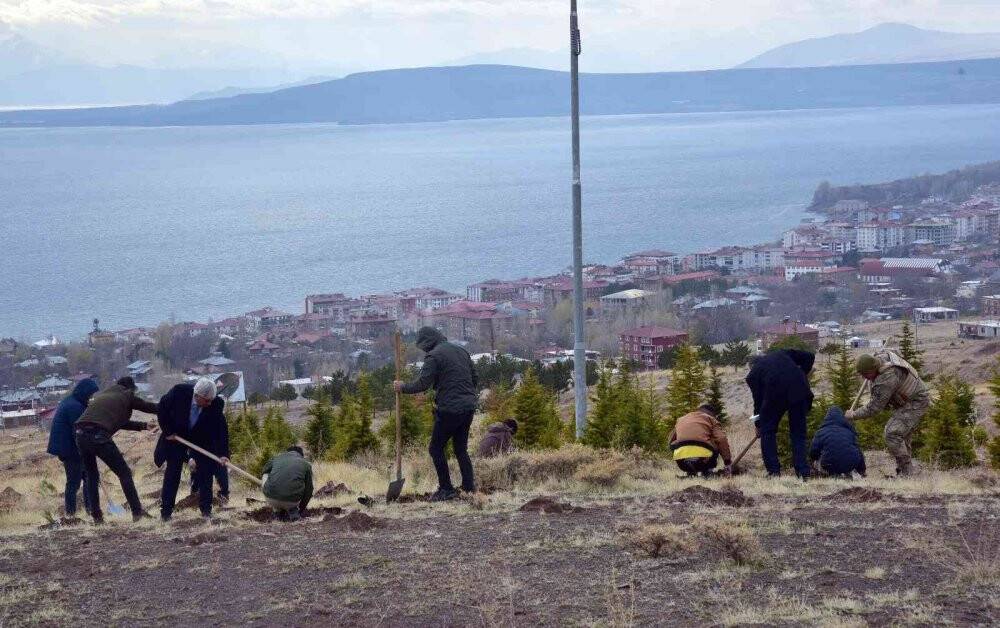 Ahlat’ta şehit öğretmenler anısına fidan dikildi