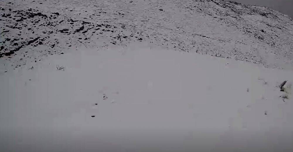 Denizli’de yılın ilk karı toprakla buluştu