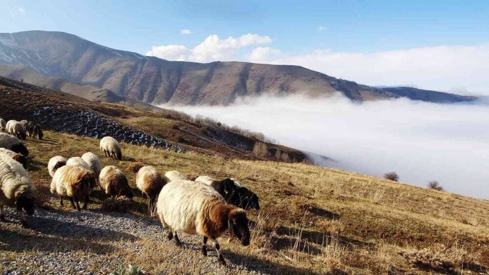 Muş’ta karlı dağlarla birleşen sis bulutları kartpostallık görüntüler oluşturdu