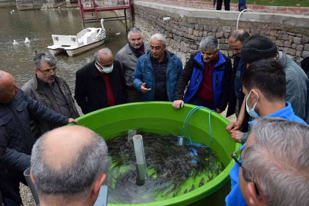 SAREM’de yetiştirilen bin 100 anaç yağ balığı, Seydişehir’de doğayla buluştu