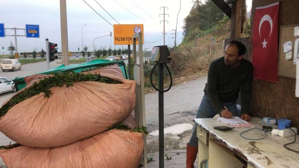 Özel sektör çay alımını devam ettiriyor