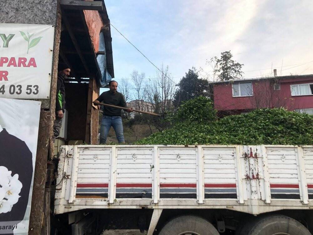 Özel sektör çay alımını devam ettiriyor