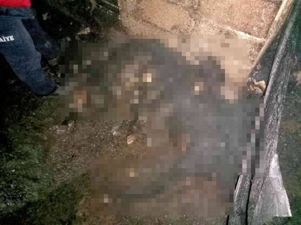 Ağrı’da yangın: 16 küçükbaş hayvan telef oldu