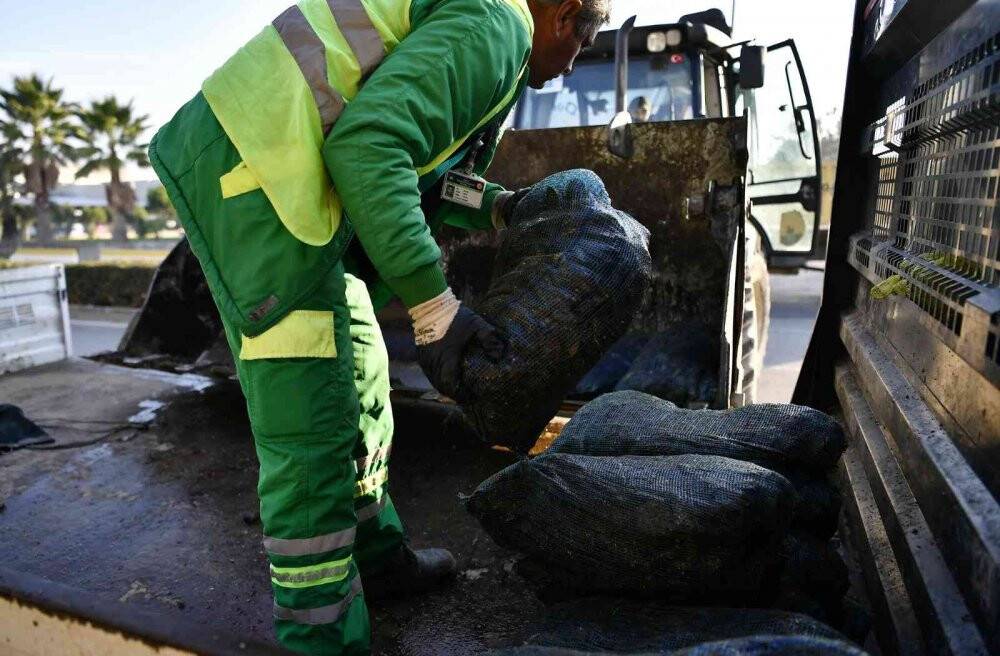2 ton sağlıksız midye çöpe döküldü