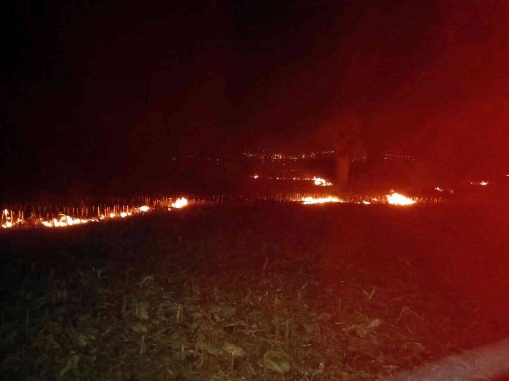 Düzce’de rüzgarın etkisiyle büyüyen yangına müdahale sürüyor