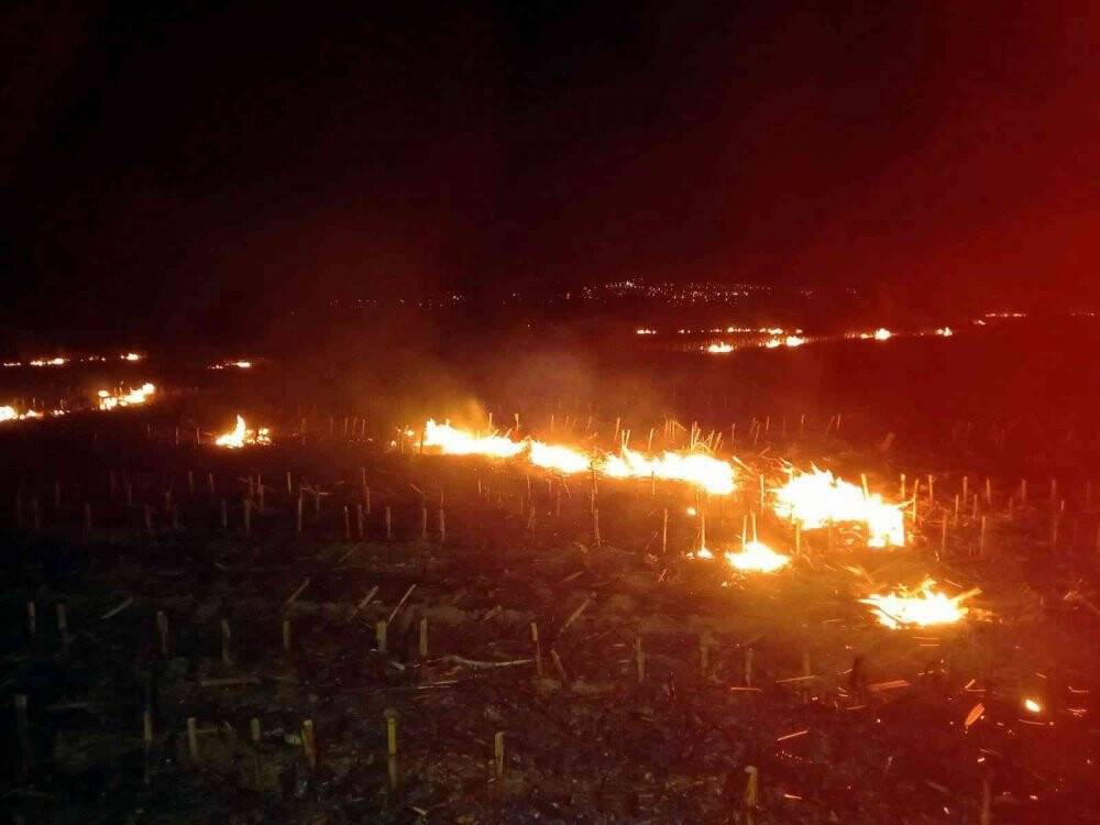 Düzce’de rüzgarın etkisiyle büyüyen yangına müdahale sürüyor