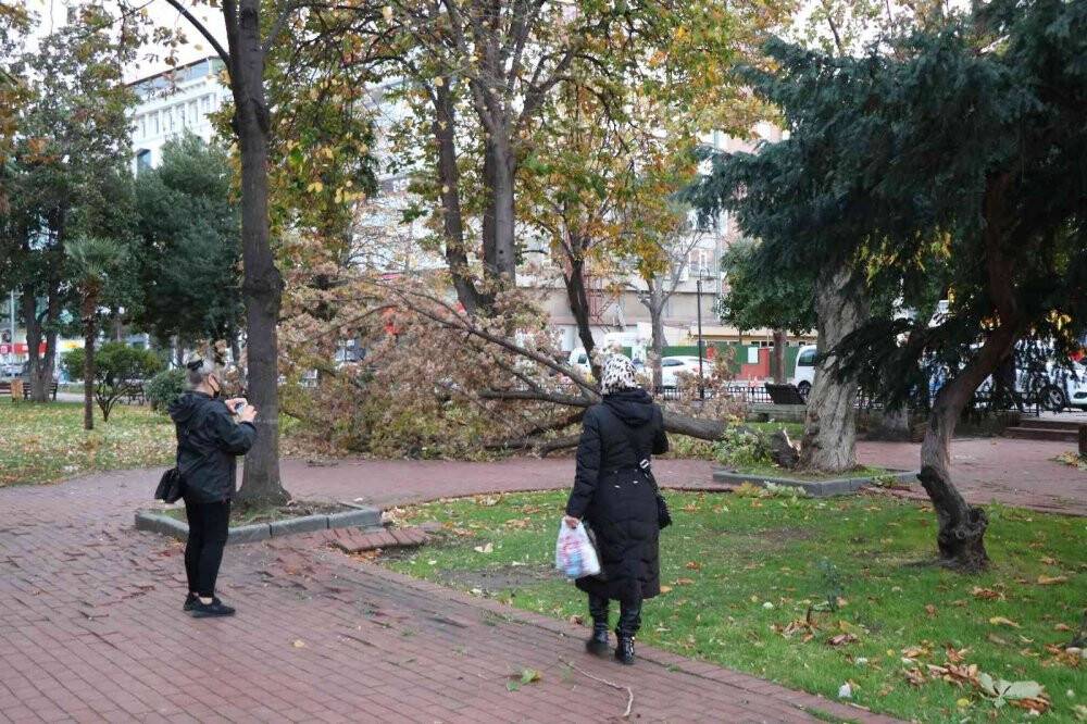 Samsun’da şiddetli fırtına: Çatılar uçtu, ağaçlar devrildi