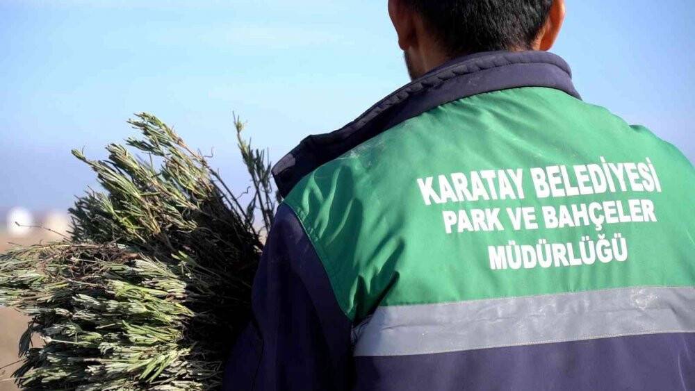 Karatay Lavanta Bahçesi’nde ekim çalışmaları başladı
