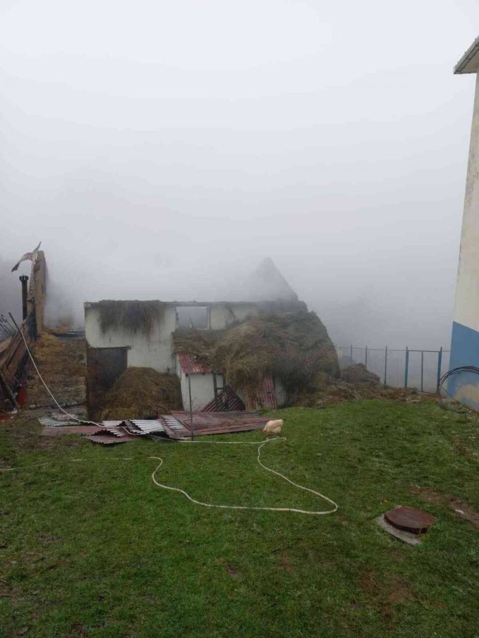 Ordu’da ahır yangınında 3 hayvan telef oldu