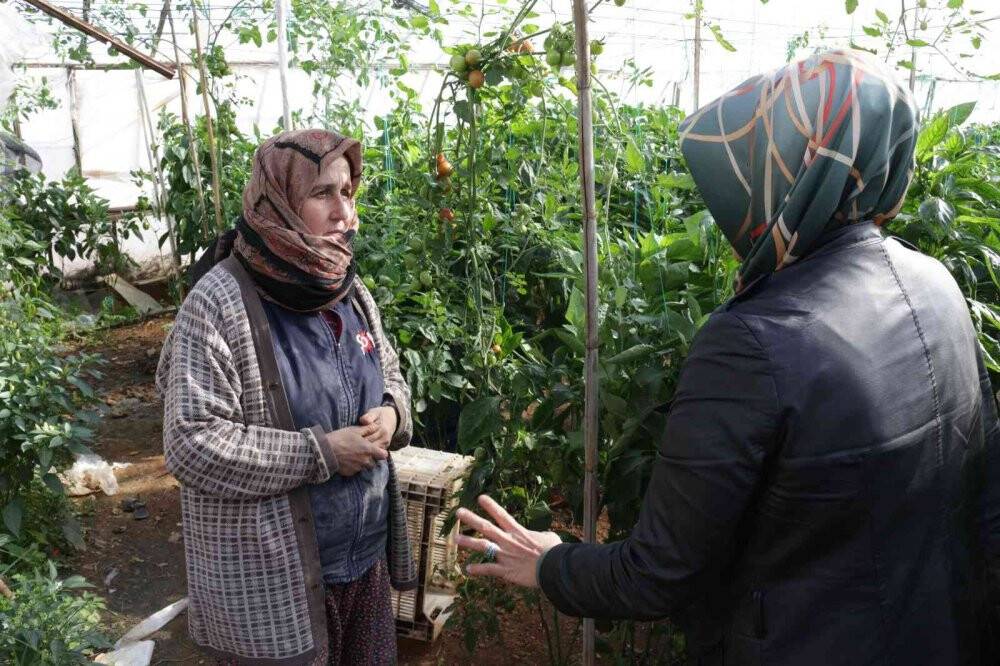 Serik’te zarar gören seralarda hasar tespit çalışması