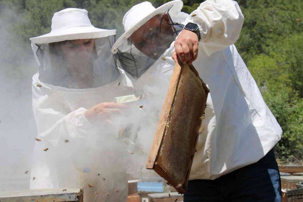 Torosların balı Avrupa yolunda