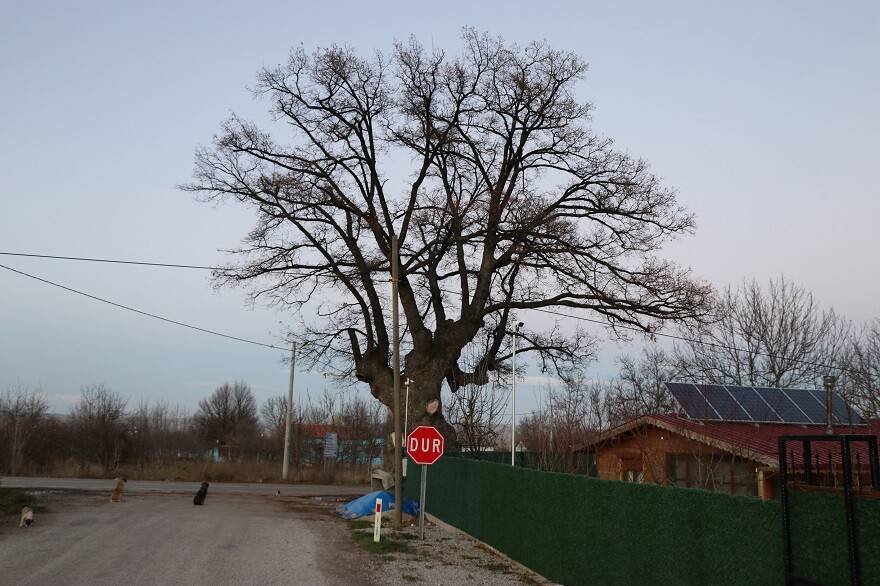 20211203-2-51149397-71263914.jpg