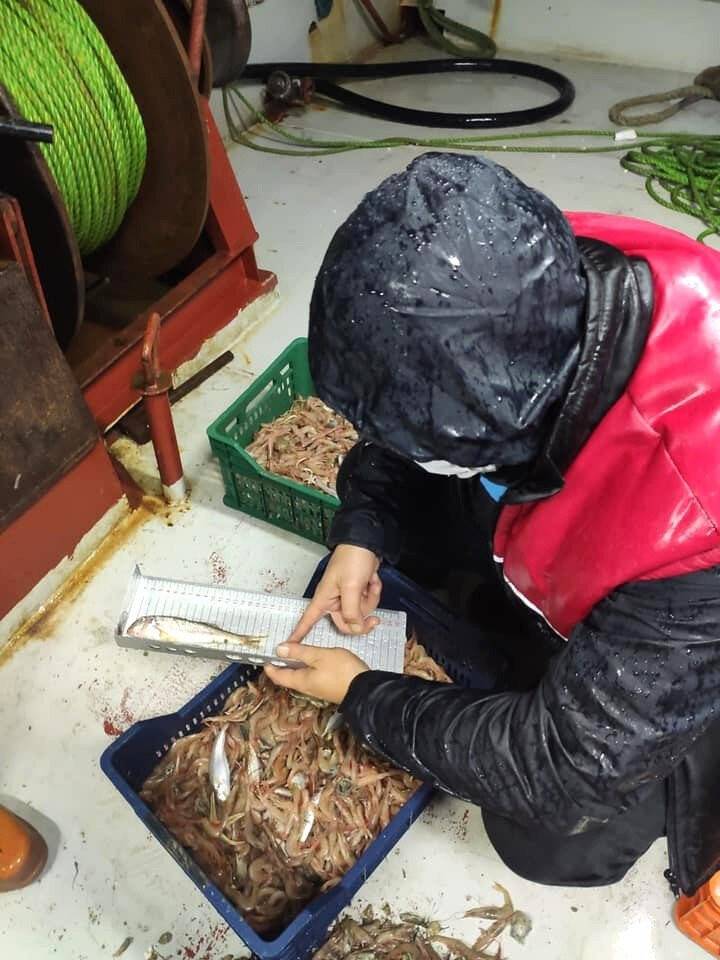 Balıkçıların ağları denetlendi