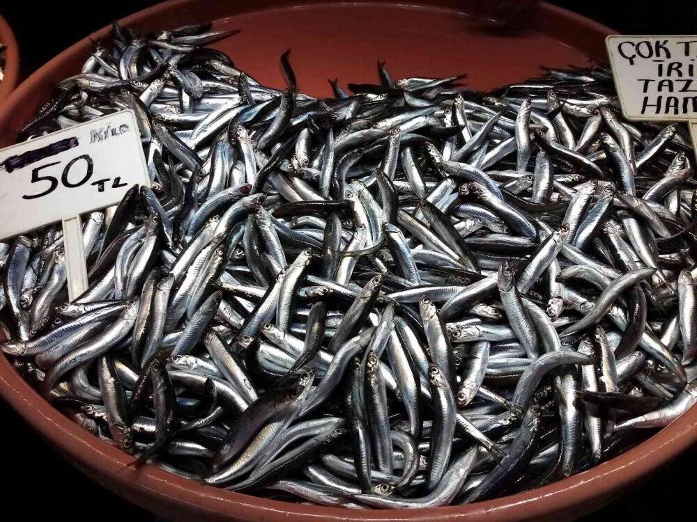 Balık az gelince fiyatlar yükseldi