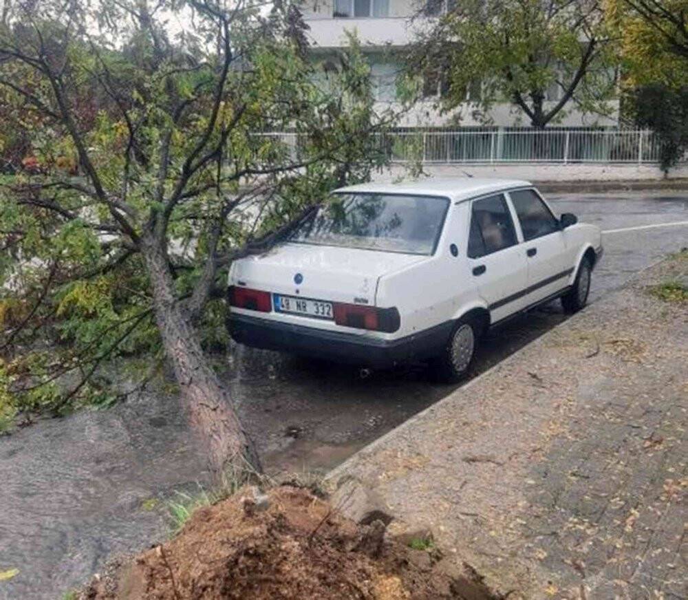 Fırtınada ağaç kökünden söküldü, aracın üzerine devrildi