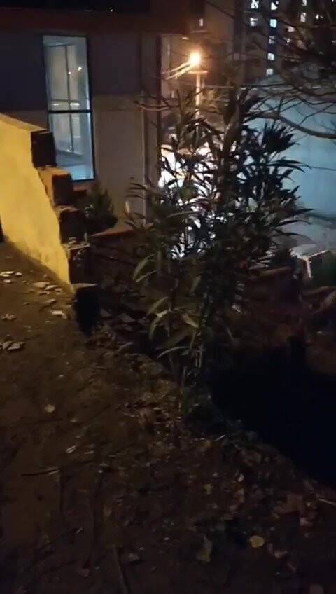 Yoldan çıkan hafif ticari araç bahçeye uçtu