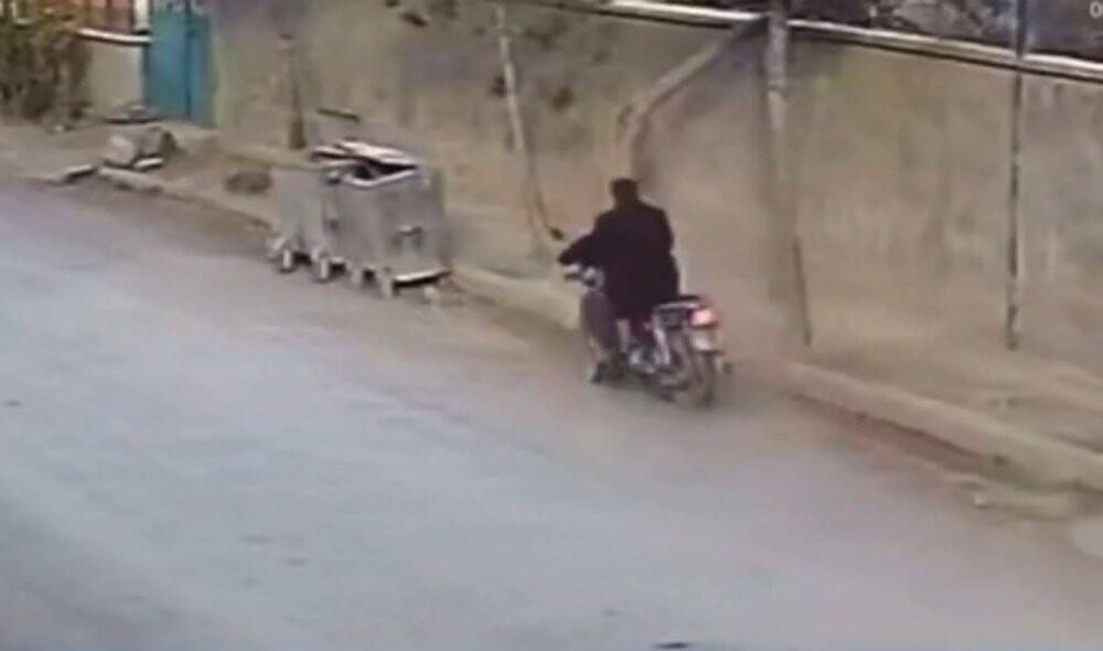 Çöp konteynerine çarpıp takla attı, çöpteki kedi fırladı