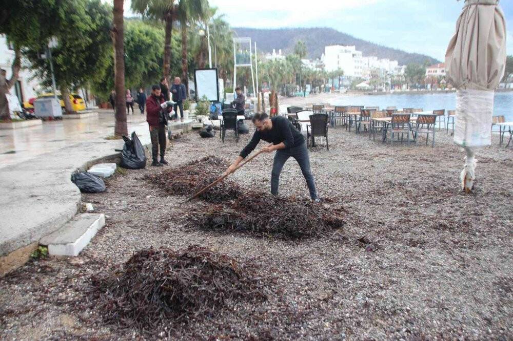 Fırtına sonrası temizlik yapıldı