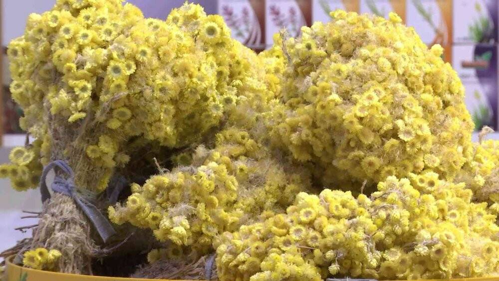 Bitki çayları için ezber bozan açıklama