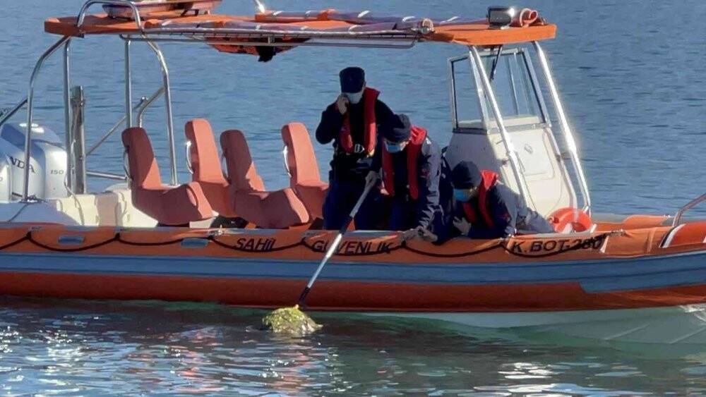 Devasa caretta caretta biranda yüzeye çıktı, öldüğü belirlendi