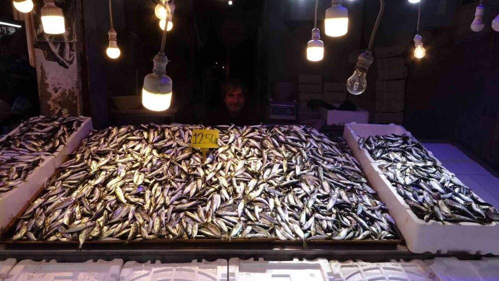 Hamsinin fiyatı tırmanışa geçerek rekor seviyeye ulaştı