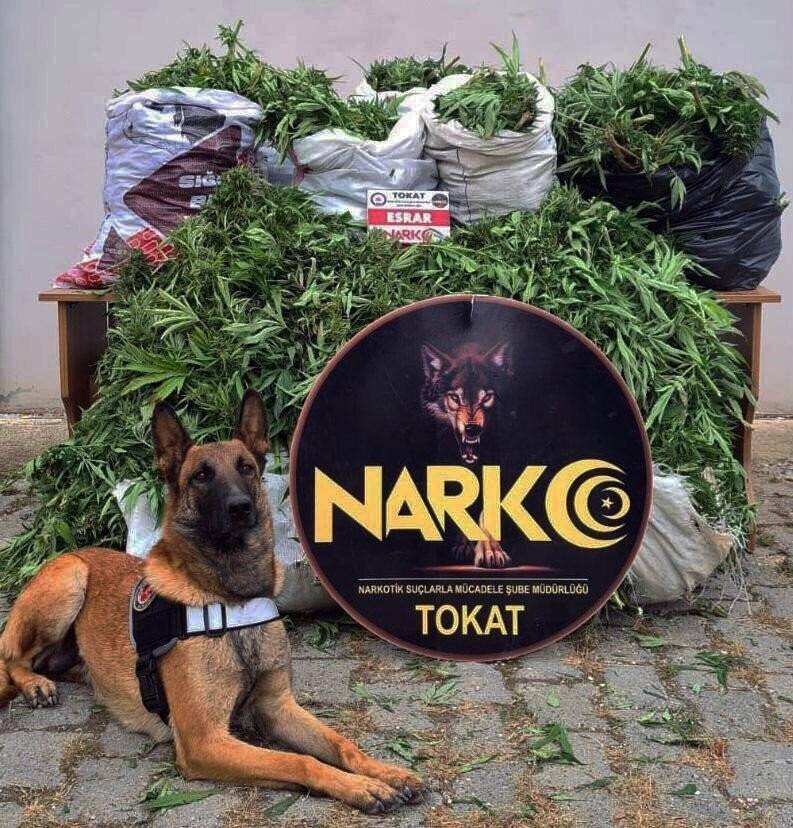 Konya dahil 6 ilde uyuşturucu operasyonu: 13 tutuklama