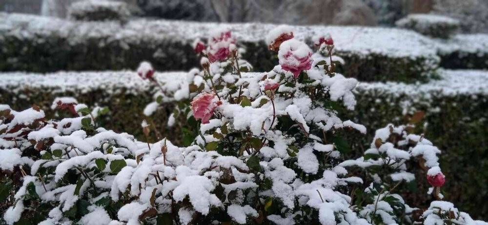 Afyonkarahisar’da günlerdir uyarısı yapılan kar yağışı başladı