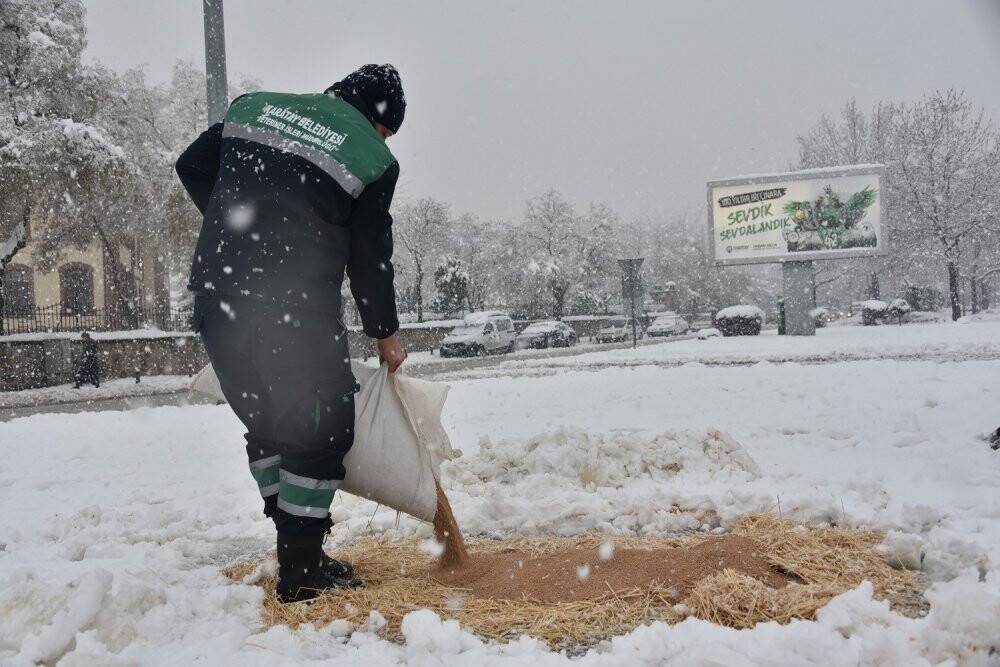 Karatay Belediyesi  sokak hayvanlarını unutmadı