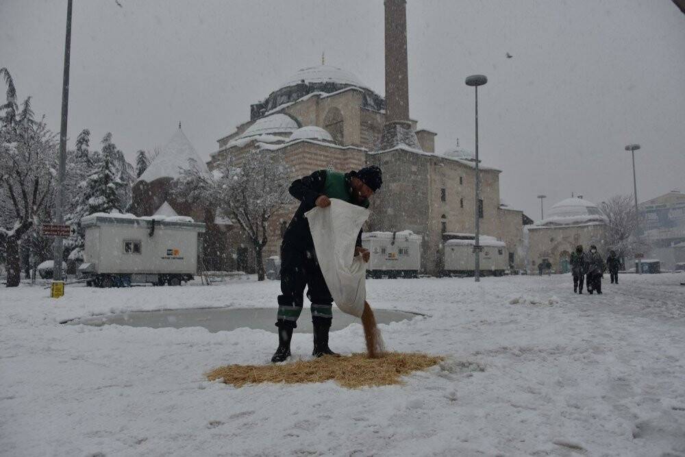 Karatay Belediyesi  sokak hayvanlarını unutmadı