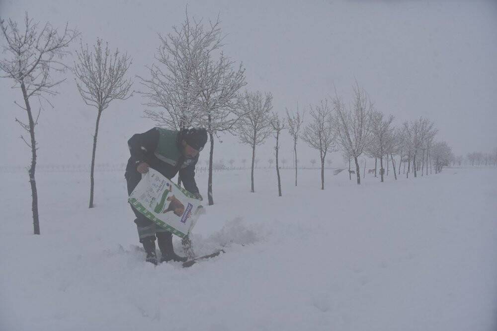 Karatay Belediyesi  sokak hayvanlarını unutmadı