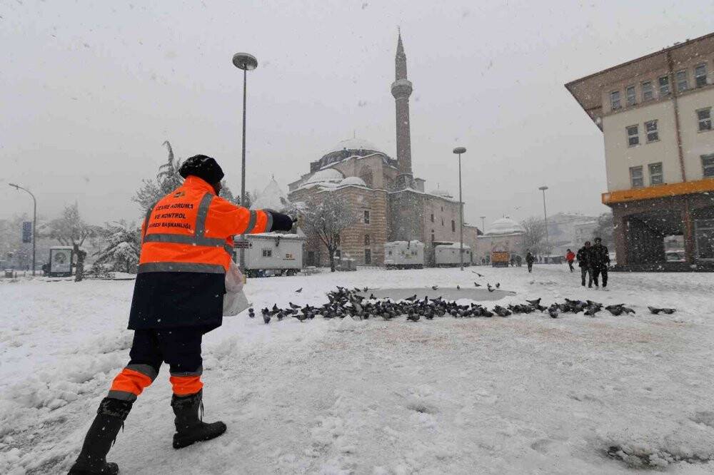 Konya Büyükşehir doğadaki sahipsiz hayvanlara yem bırakıyor