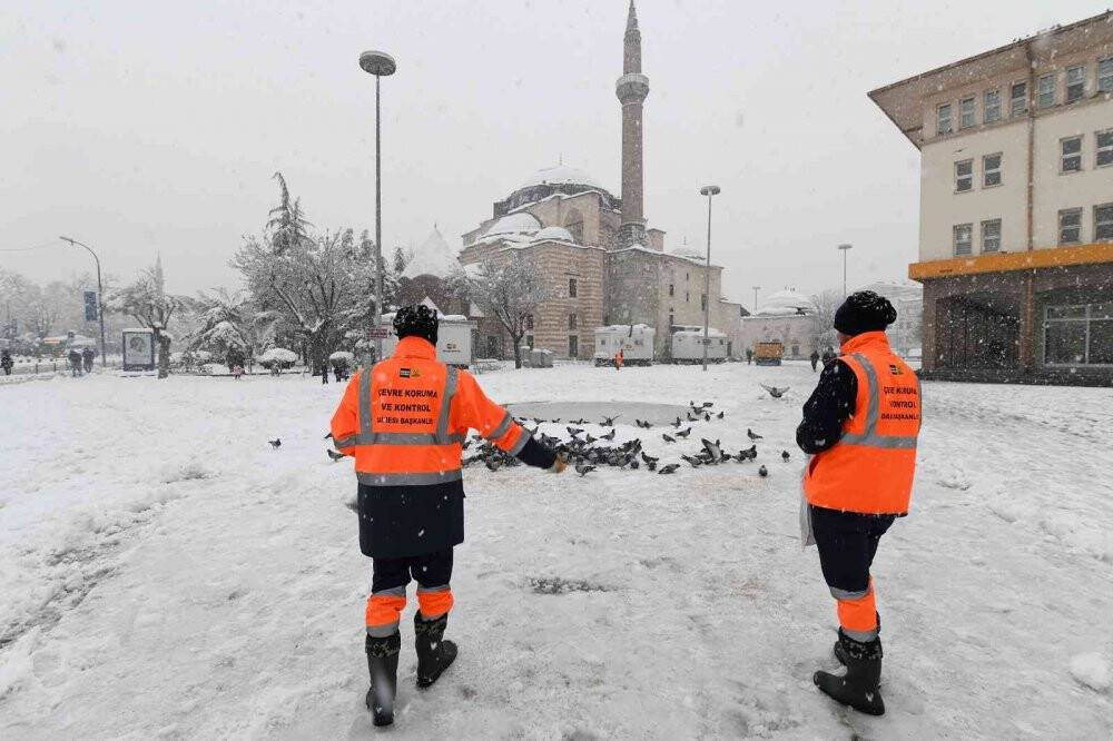 Konya Büyükşehir doğadaki sahipsiz hayvanlara yem bırakıyor