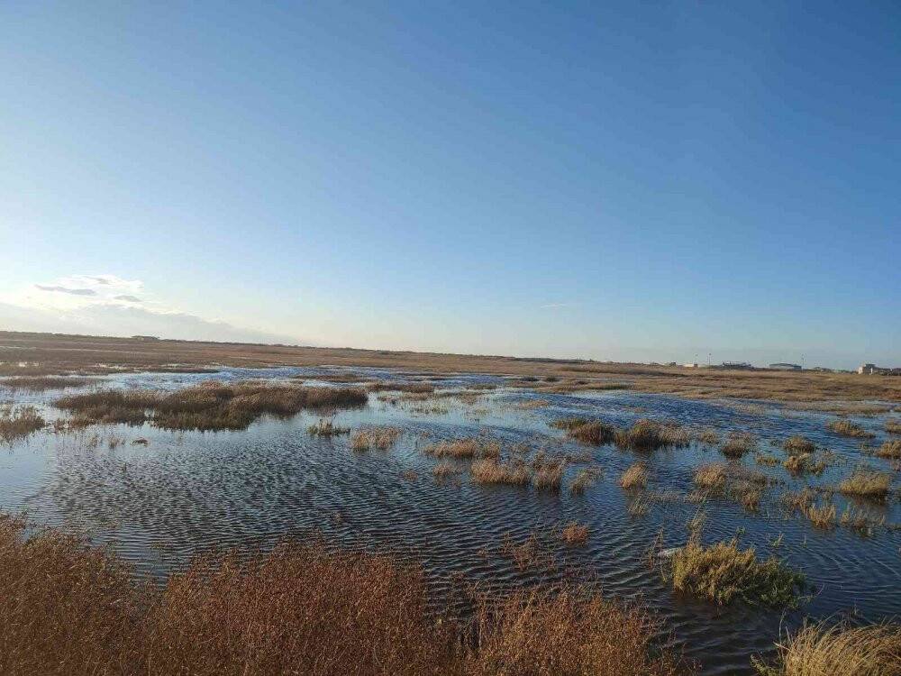 Milleyha Kuş Cenneti yağış sonrası göletler ile doldu